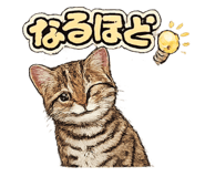 843795617