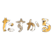 843796055