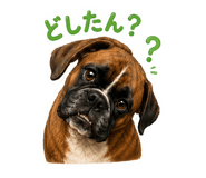 843796161