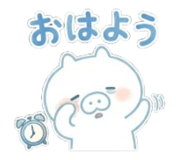 843796538