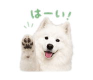 843796609