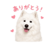 843796611