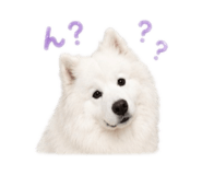 843796614
