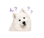 843796620