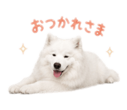 843796625
