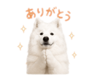 843796626