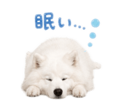 843796627