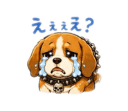 843796650