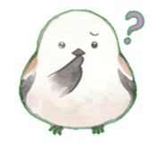 843796871