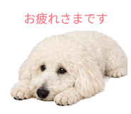 843797011