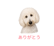 843797012