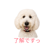 843797013