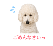 843797016