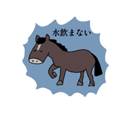 843797136