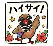 843797167