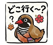 843797225