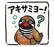 843797227