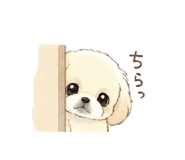 843797236