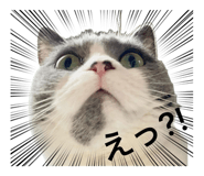 843797574
