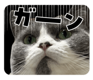 843797575