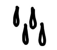 843797612