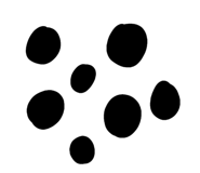 843797619