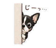 843797645