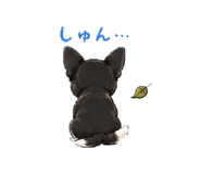 843797647