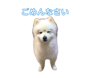 843797926