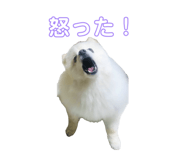 843797927