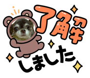 843798703