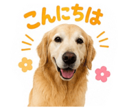843798786