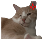 843798882