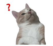 843798883