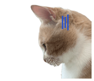 843798884