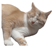 843798886