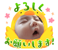 843798981