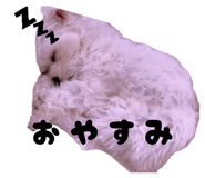 843799020