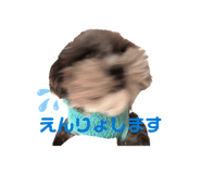 843799700