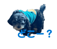 843799708