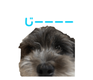843799723