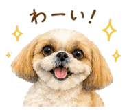 843799764