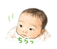843800300