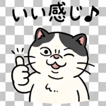 843800516