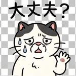 843800517