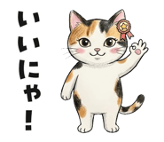 843800591