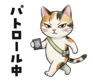 843800604
