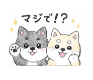 843801077