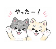 843801078