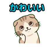 843801913